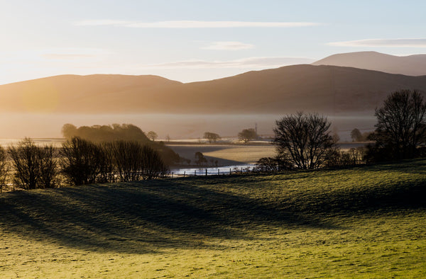 Spotlight on Glen Moray
