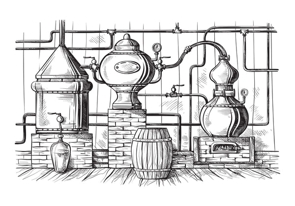 Scotch Whisky Trends
