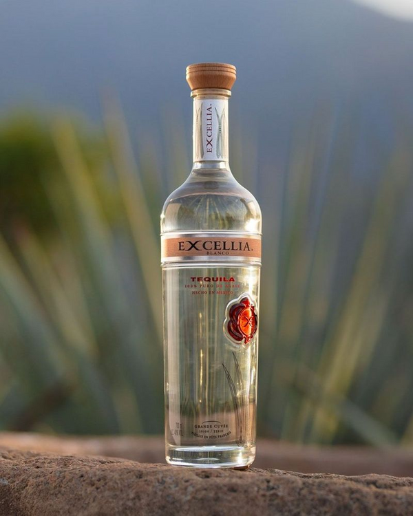 Excellia Blanco